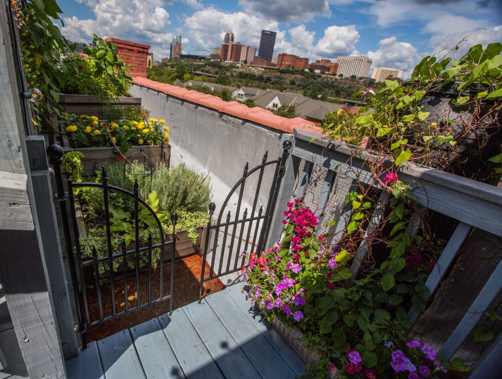 Carla's killer City view